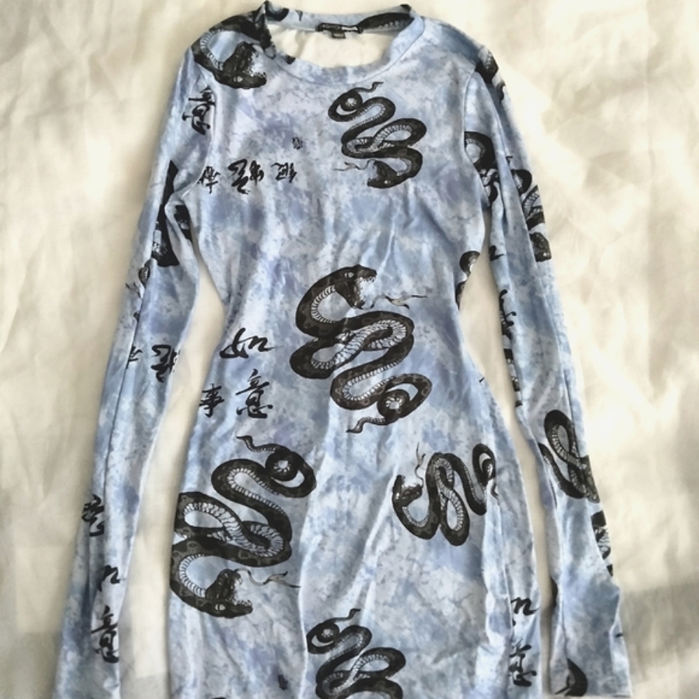 Fashion Nova Dress